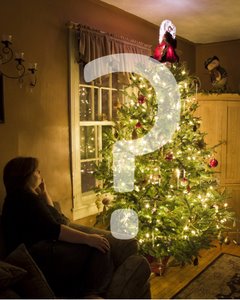 CHRISTMAS TREE WITH ADMIRER © Phil Mcdonald | Dreamstime.com